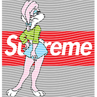 Brand Catalog-ZX 995